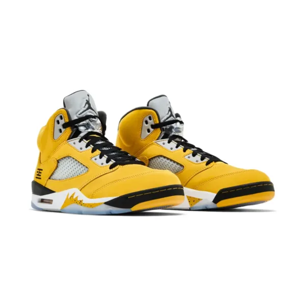 Air Jordan 5 Retro Tokyo T23